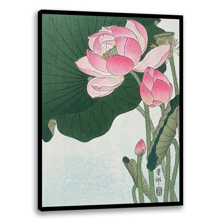 Blooming lotus flowers 13562 | Buy Flower Painting | Floral Art